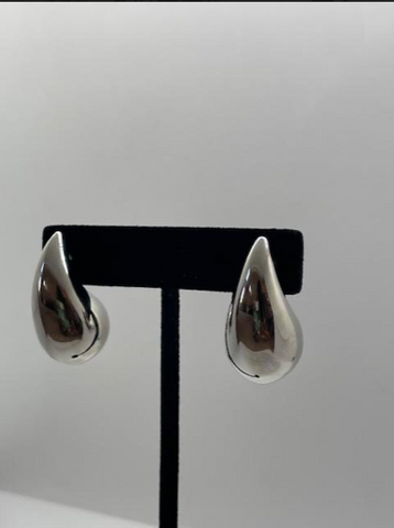 Teardrop Silver color earrings